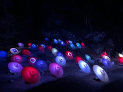 ぎふ灯り物語 ２０２６に投稿された画像（2025/1/25）