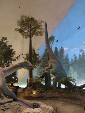 福井県立恐竜博物館に投稿された画像（2025/1/25）