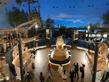 福井県立恐竜博物館に投稿された画像（2025/1/25）