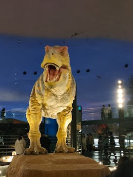 福井県立恐竜博物館に投稿された画像（2025/1/25）