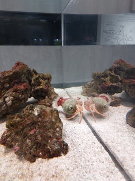 AOAO SAPPOROに投稿された画像（2025/1/25）