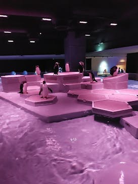 AOAO SAPPOROに投稿された画像（2025/1/25）