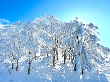 たざわ湖スキー場に投稿された画像（2025/1/25）