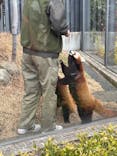 恩賜上野動物園に投稿された画像（2025/1/26）