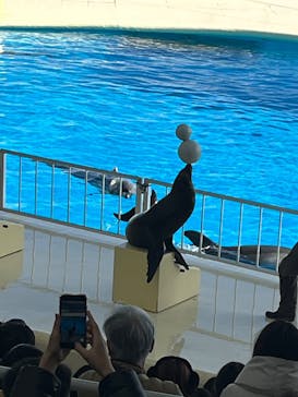 マリンワールド海の中道に投稿された画像（2025/1/26）