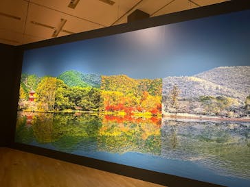 特別展「旧嵯峨御所 大覚寺 －百花繚乱 御所ゆかりの絵画－」（東京国立博物館）に投稿された画像（2025/1/26）