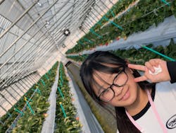 白木のいちご　しあわせもんに投稿された画像（2025/1/26）