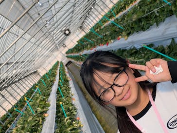 白木のいちご　しあわせもんに投稿された画像（2025/1/26）