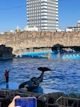 名古屋港水族館に投稿された画像（2025/1/26）