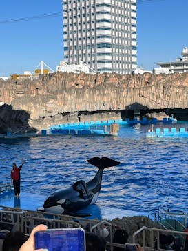 名古屋港水族館に投稿された画像（2025/1/26）