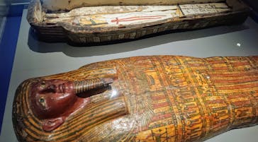 ブルックリン博物館所蔵 特別展 古代エジプトに投稿された画像（2025/1/25）