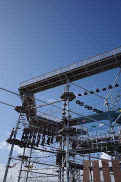 シー・ドラグーンに投稿された画像（2025/1/26）