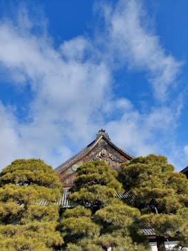 元離宮二条城に投稿された画像（2025/1/26）