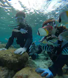 武藤潜水に投稿された画像（2025/1/26）