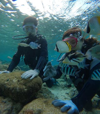 武藤潜水に投稿された画像（2025/1/26）