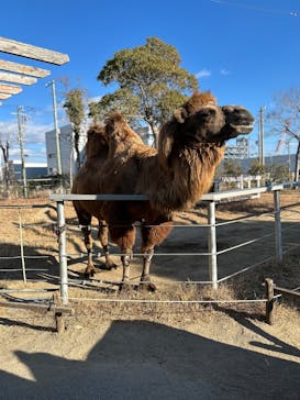 神戸どうぶつ王国に投稿された画像（2025/1/26）