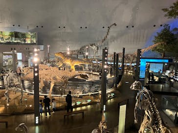 福井県立恐竜博物館に投稿された画像（2025/1/26）