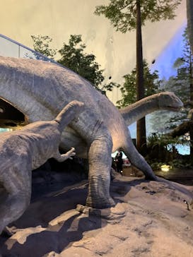 福井県立恐竜博物館に投稿された画像（2025/1/26）
