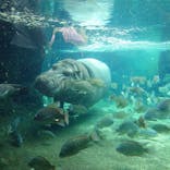 天王寺動物園に投稿された画像（2025/1/26）