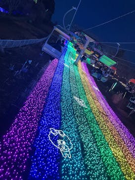 さがみ湖MORI MORIに投稿された画像（2025/1/26）