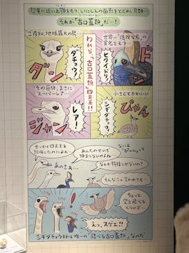 特別展「鳥 ～ゲノム解析が解き明かす新しい鳥類の系統～」国立科学博物館に投稿された画像（2025/1/26）