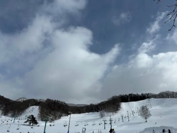 水上高原 藤原スキー場に投稿された画像（2025/1/26）