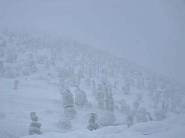 蔵王ロープウェイに投稿された画像（2025/1/26）