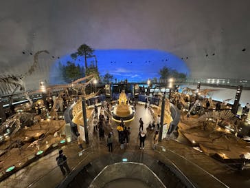 福井県立恐竜博物館に投稿された画像（2025/1/26）