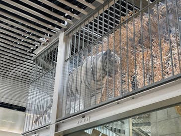 NIFREL（ニフレル）に投稿された画像（2025/1/26）