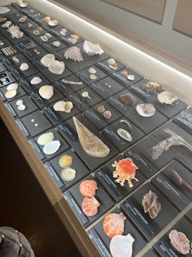 国立科学博物館に投稿された画像（2025/1/26）