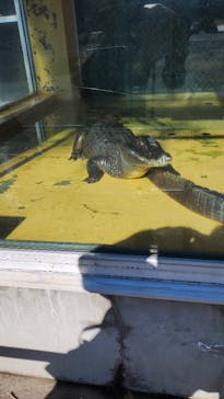 東武動物公園に投稿された画像（2025/1/26）