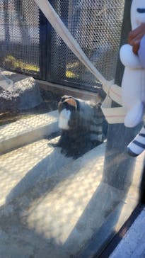 東武動物公園に投稿された画像（2025/1/26）