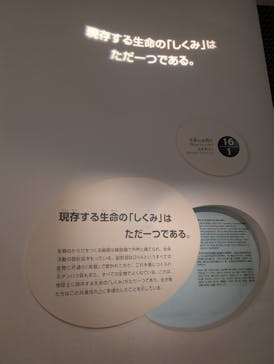 国立科学博物館に投稿された画像（2025/1/26）