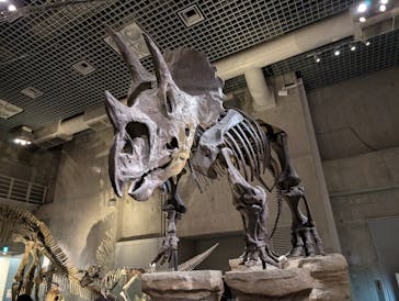 国立科学博物館に投稿された画像（2025/1/26）