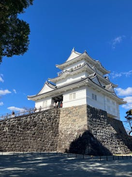 小田原城に投稿された画像（2025/1/26）