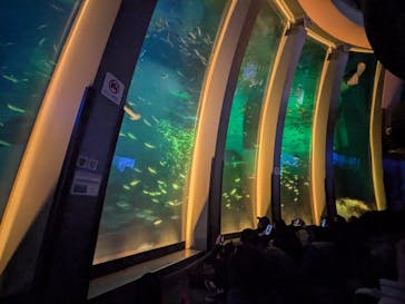 横浜・八景島シーパラダイスに投稿された画像（2025/1/26）