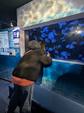 横浜・八景島シーパラダイスに投稿された画像（2025/1/26）