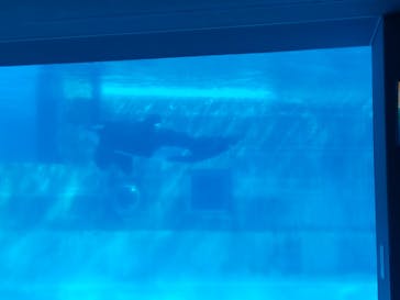 名古屋港水族館に投稿された画像（2025/1/26）