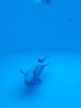 名古屋港水族館に投稿された画像（2025/1/26）