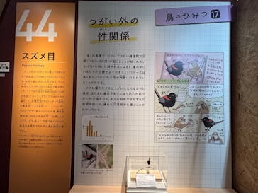 特別展「鳥 ～ゲノム解析が解き明かす新しい鳥類の系統～」国立科学博物館に投稿された画像（2025/1/26）