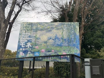 モネ 睡蓮のとき（国立西洋美術館）に投稿された画像（2025/1/26）