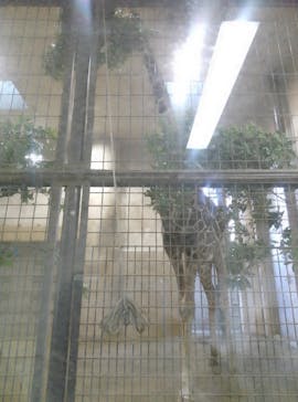 恩賜上野動物園に投稿された画像（2025/1/26）