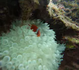 武藤潜水に投稿された画像（2025/1/26）