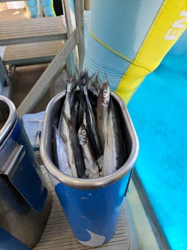 新江ノ島水族館に投稿された画像（2025/1/26）