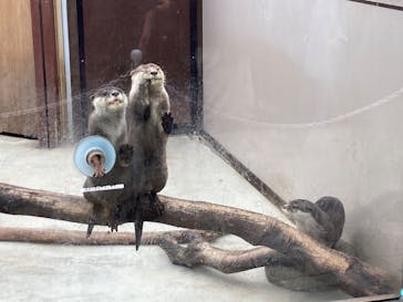 横浜・八景島シーパラダイスに投稿された画像（2025/1/26）