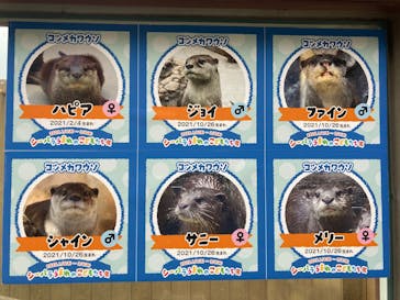 横浜・八景島シーパラダイスに投稿された画像（2025/1/26）