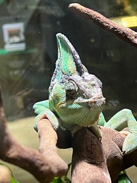 AQUARIUM × ART　atoaに投稿された画像（2025/1/26）