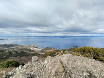 小豆島　銚子渓　自然動物園　お猿の国に投稿された画像（2025/1/26）