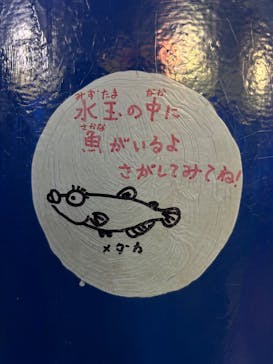 竹島水族館に投稿された画像（2025/1/26）