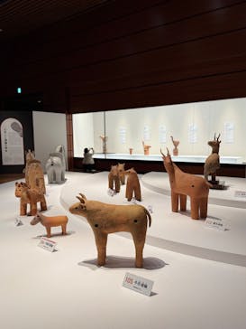 特別展「はにわ」（九州国立博物館）に投稿された画像（2025/1/26）